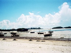 Watamu 2001