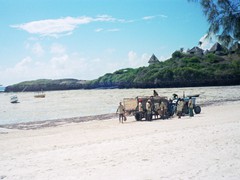 Watamu 2001